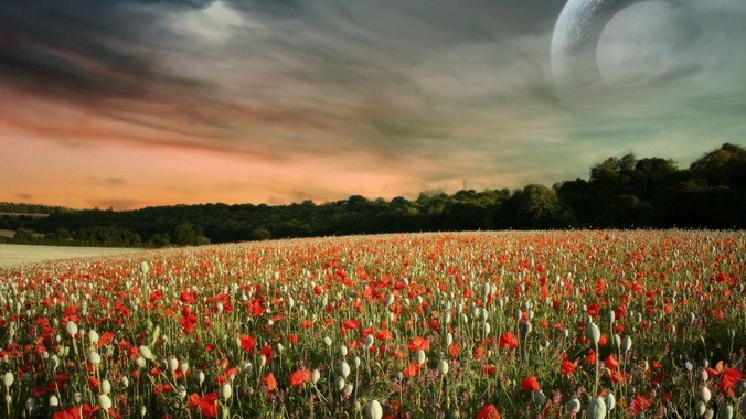 如何评价《灵笼 2》第六集？